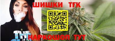 молекула духа Шелехов