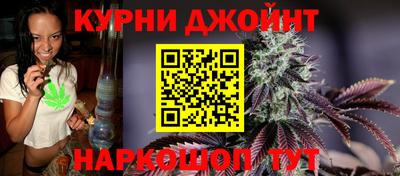 молекула духа Шелехов