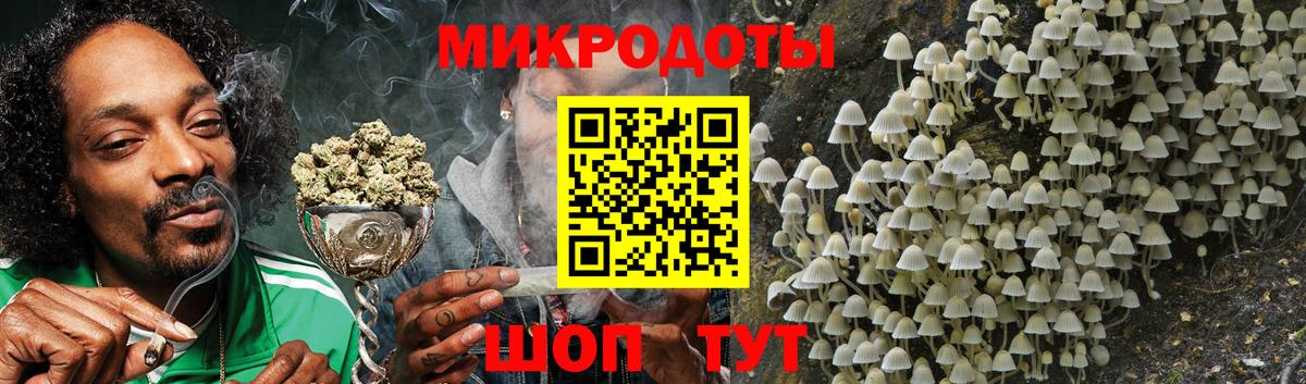 Псилоцибиновые грибы Psilocybine cubensis Выкса