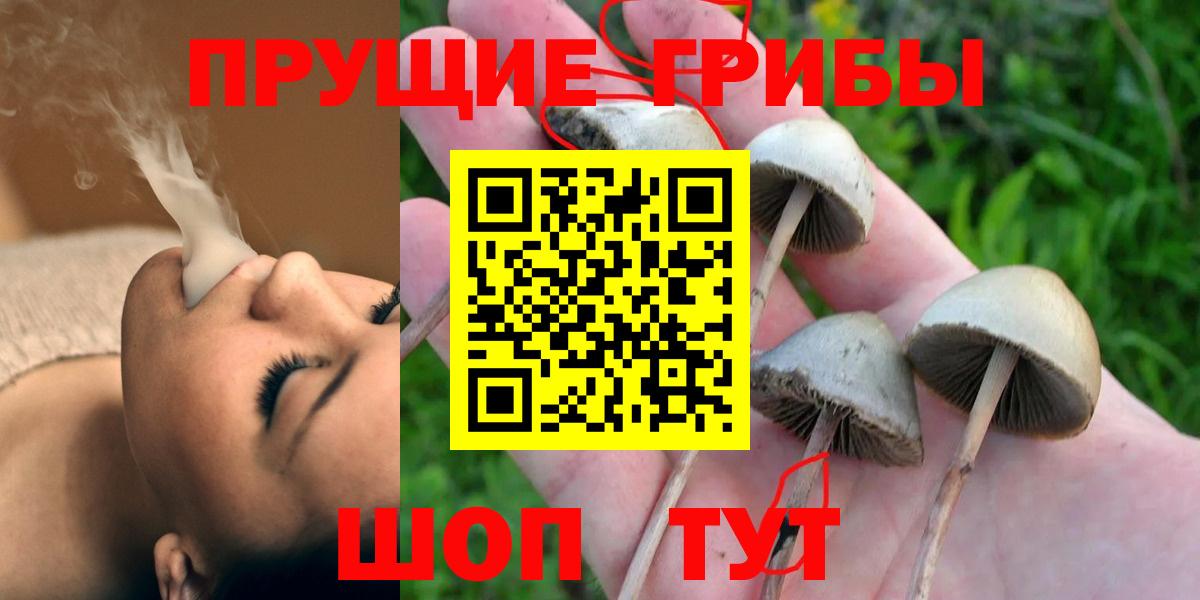 Выкса  Галлюциногенные грибы Magic Shrooms  хочу наркоту  Вход с VPN  Псилоцибиновые грибы мухоморы 