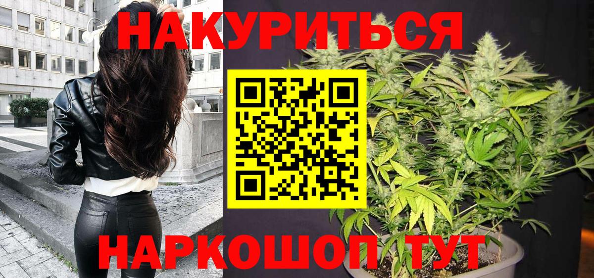Конопля сатива  Вход с VPN  Выкса  Конопля конопля 